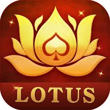 teen patti 777 welth download